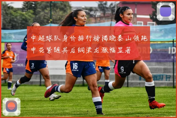 中超球队身价排行榜揭晓泰山领跑申花紧随其后铜梁龙涨幅显著