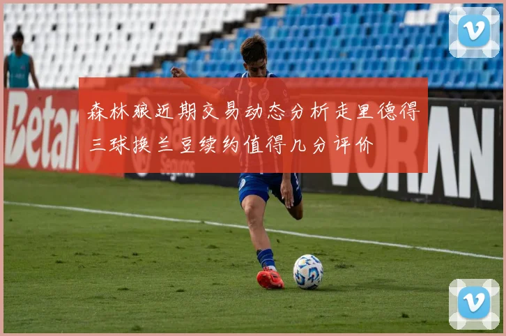 森林狼近期交易动态分析走里德得三球换兰豆续约值得几分评价